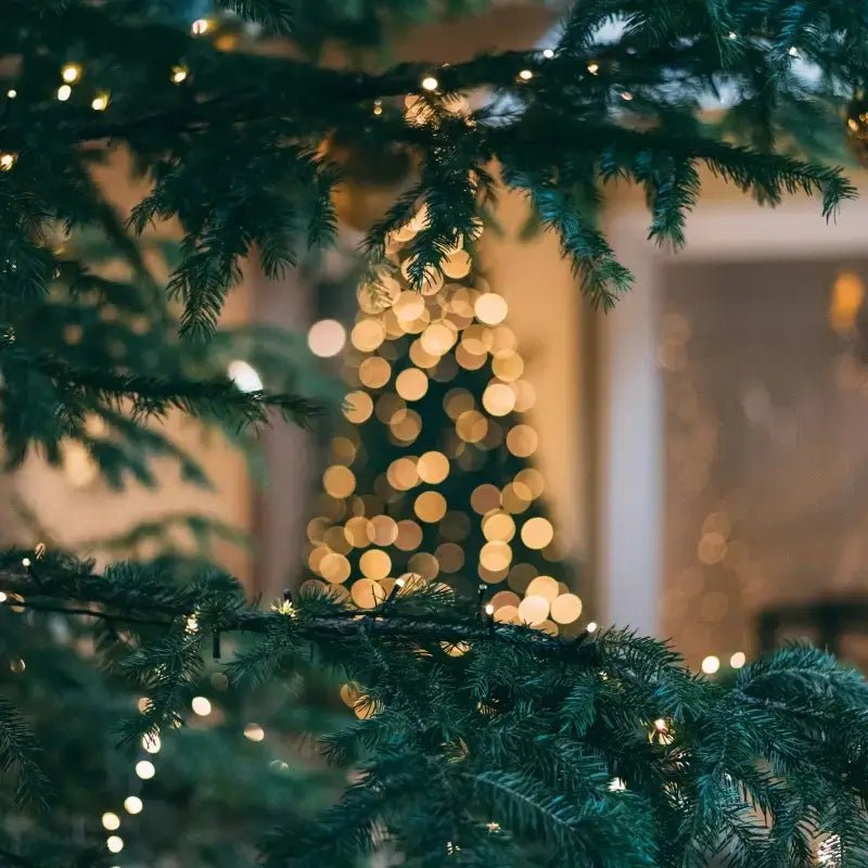 Sapins illuminés en arrière-plan, mettant en valeur notre collection de patrons de couture pdf à télécharger pour Patrons pour Noël.