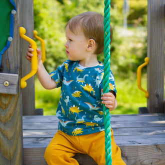 Enfant portant CRANBERRY - Le t-shirt pour toute la famille, patron de couture pdf à télécharger, sur un toboggan, motif dinosaure.