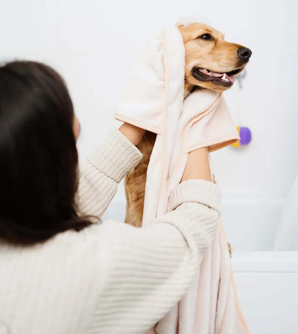 Personne séchant un chien avec une serviette, idéal pour "Serviette pour chien/chat - S/XL - LOPE" et patron de couture PDF à télécharger.