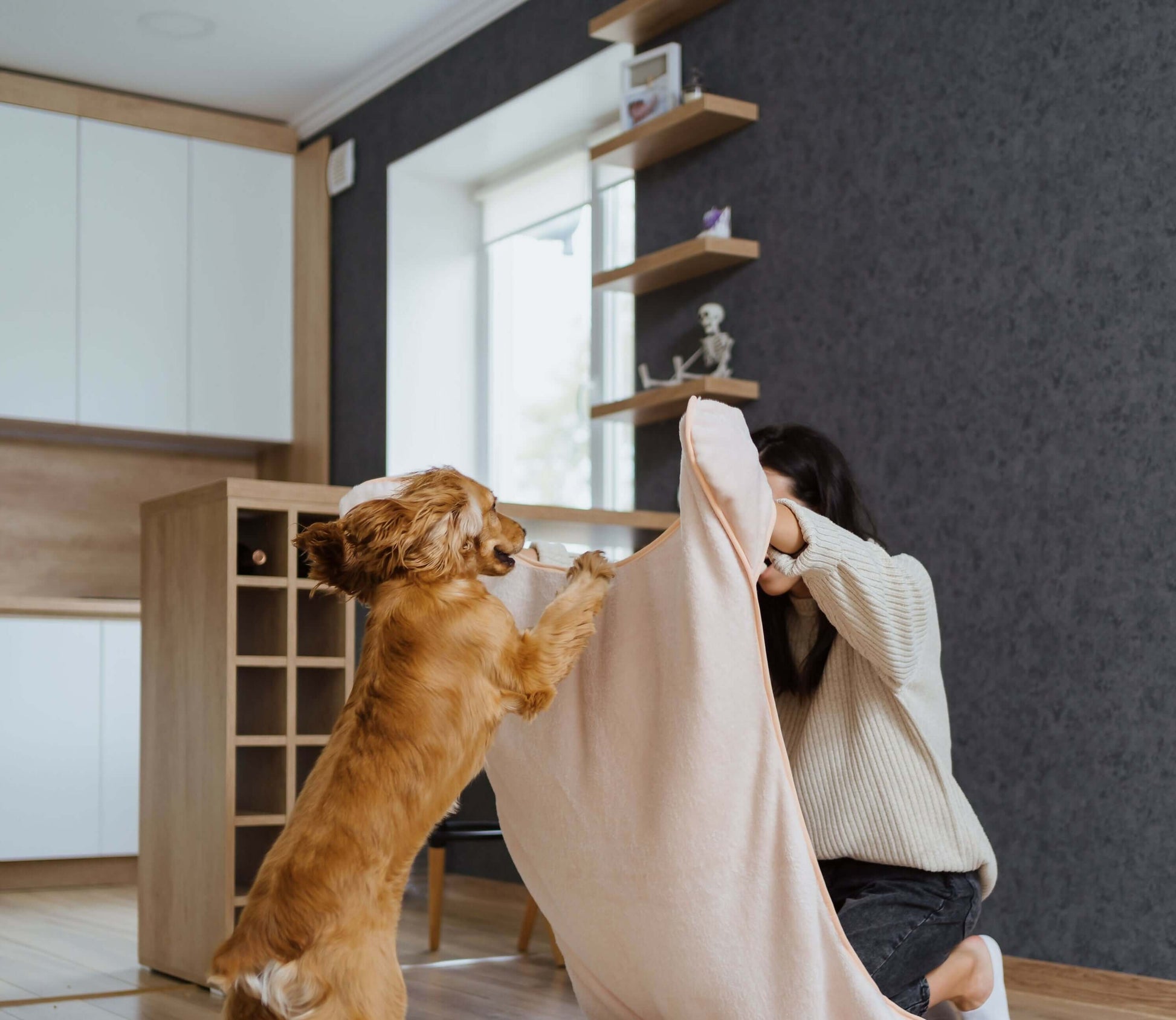 Chien jouant avec une serviette pour animaux, idéalement adaptée pour le produit Serviette pour chien/chat - S/XL - LOPE, patron de couture pdf à télécharger.