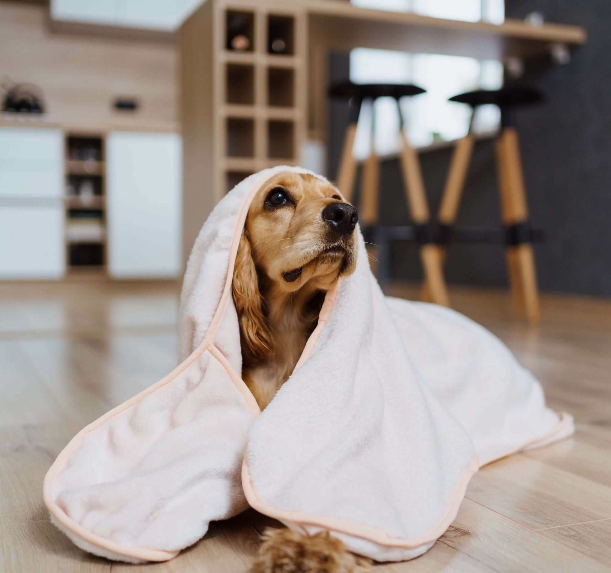 Serviette pour chien/chat - S/XL - LOPE, enroulé autour d'un chien, patron de couture pdf à télécharger pour animaux