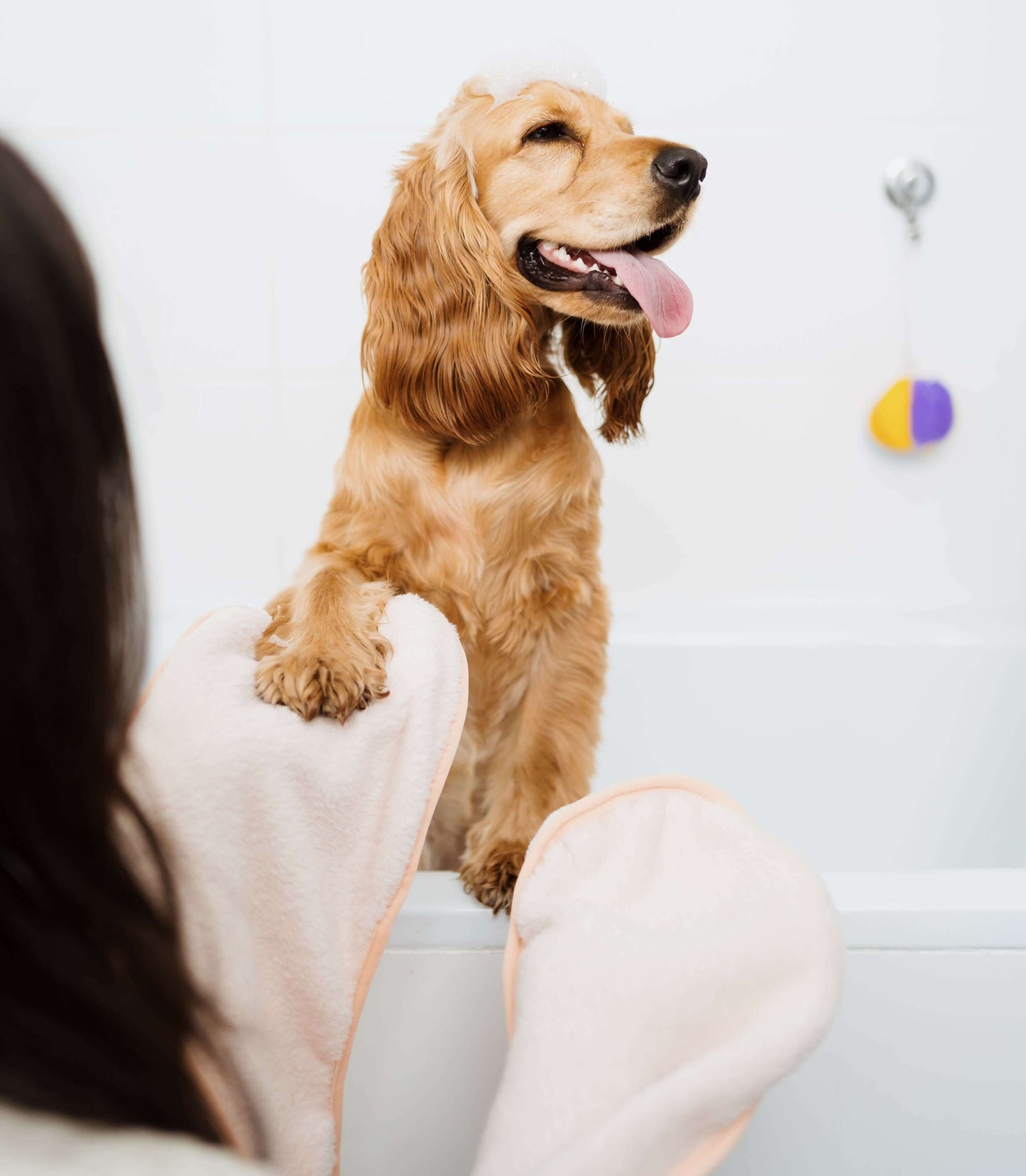Chien dans la baignoire utilisant Serviette pour chien/chat - S/XL - LOPE, patron de couture PDF à télécharger.
